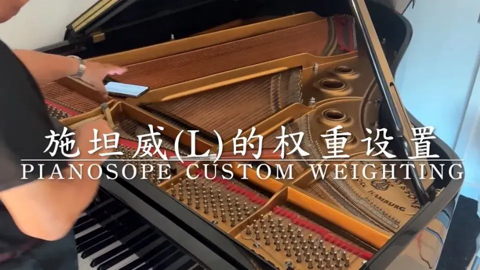 AI 时代施坦威钢琴（L）的调律对策（音程权重）Construction and Practice of the Classical Fullness Model&nbsp;v1.0